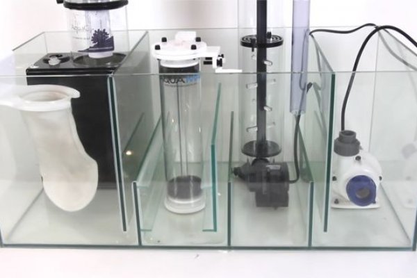 Кракен актуальная ссылка kraken torion net