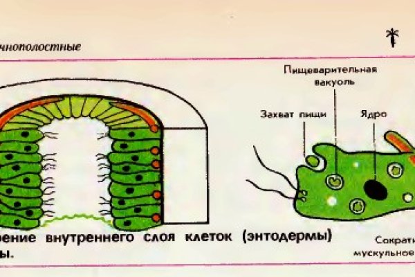 Рабочие ссылки и зеркала кракен