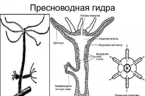 Dark net официальный сайт