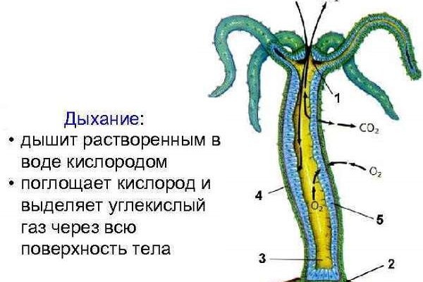 Взломали аккаунт кракен