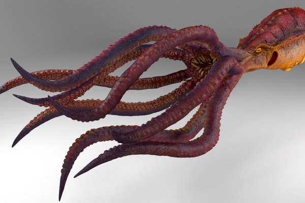 Kraken сайт магазин